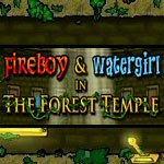 The Forest Temple Review