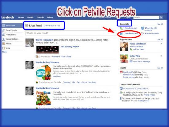 PetVille