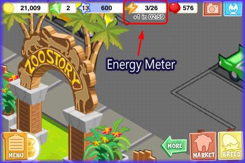 Zoo Story