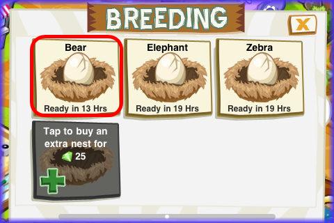 Zoo Story