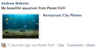 Planet Fish
