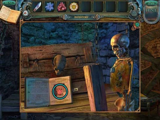 Echoes of the Past: The Revenge of the Witch 