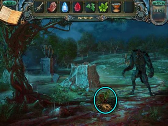 Echoes of the Past: The Revenge of the Witch 