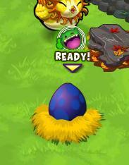 Magic Pets