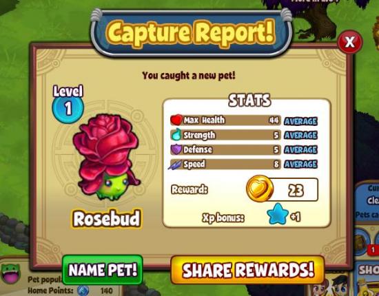 Magic Pets