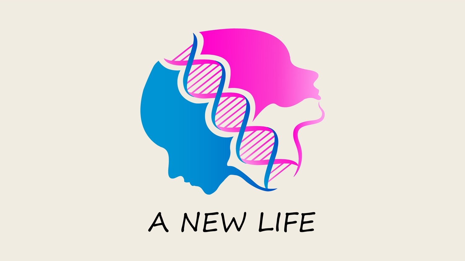 A New Life Review: La Vida Okay