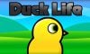 DuckLife_Guide_Feature
