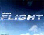 Microsoft Flight Preview