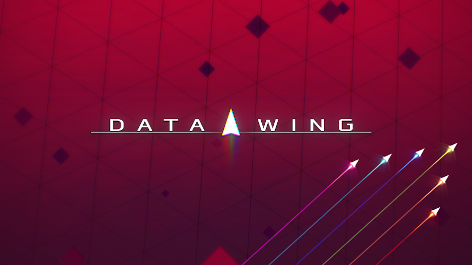 DATA WING Review: Sheer Delight