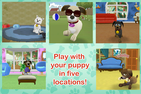 Touch Pets Dogs 2 Preview
