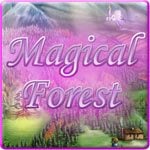 Magical Forest Preview