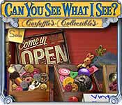 Can You See What I See? Review
