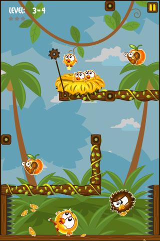 Hungry Chicks