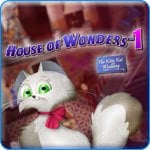 House of Wonders: Kitty Kat Wedding Review