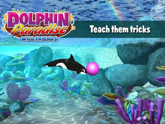 Dolphin Paradise