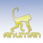 new HOG, time management, retro games and more from Anuman Interactive