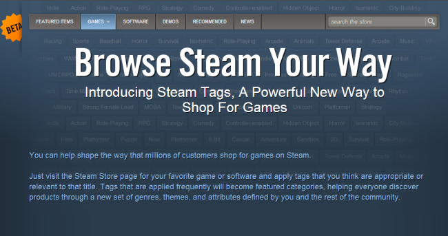 10 Steam Tags that prove this is a bad idea