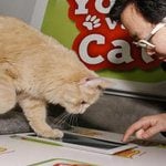 Play air hockey against your kitty with You vs. Cat for the iPad