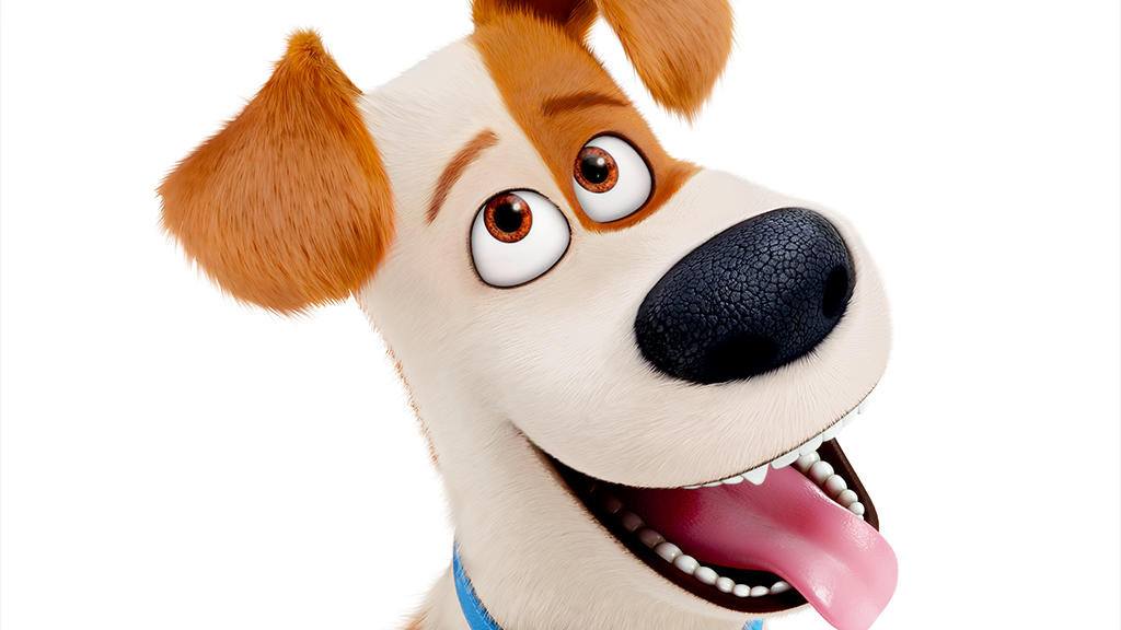 The Secret Life of Pets: Unleashed Tips, Cheats and Strategies