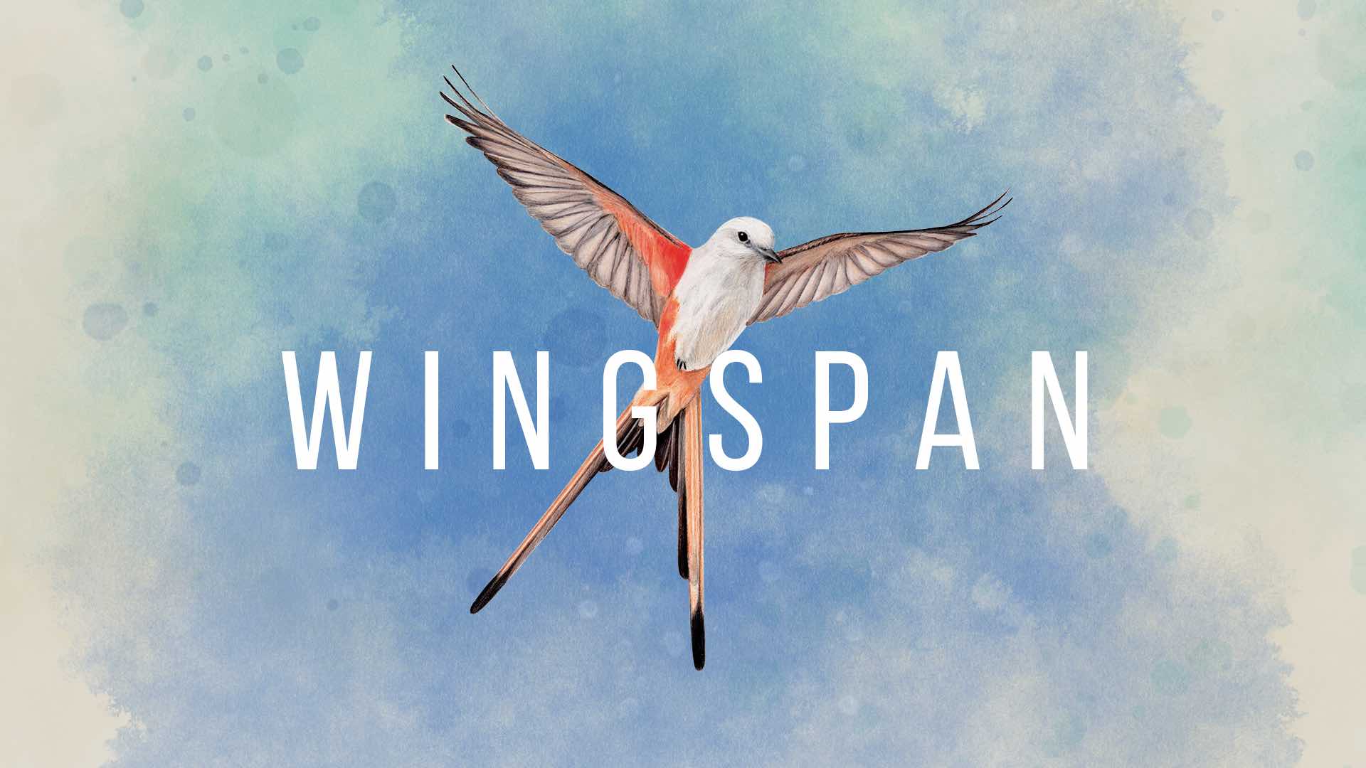 Wingspan [Switch] Review – A Hoot?
