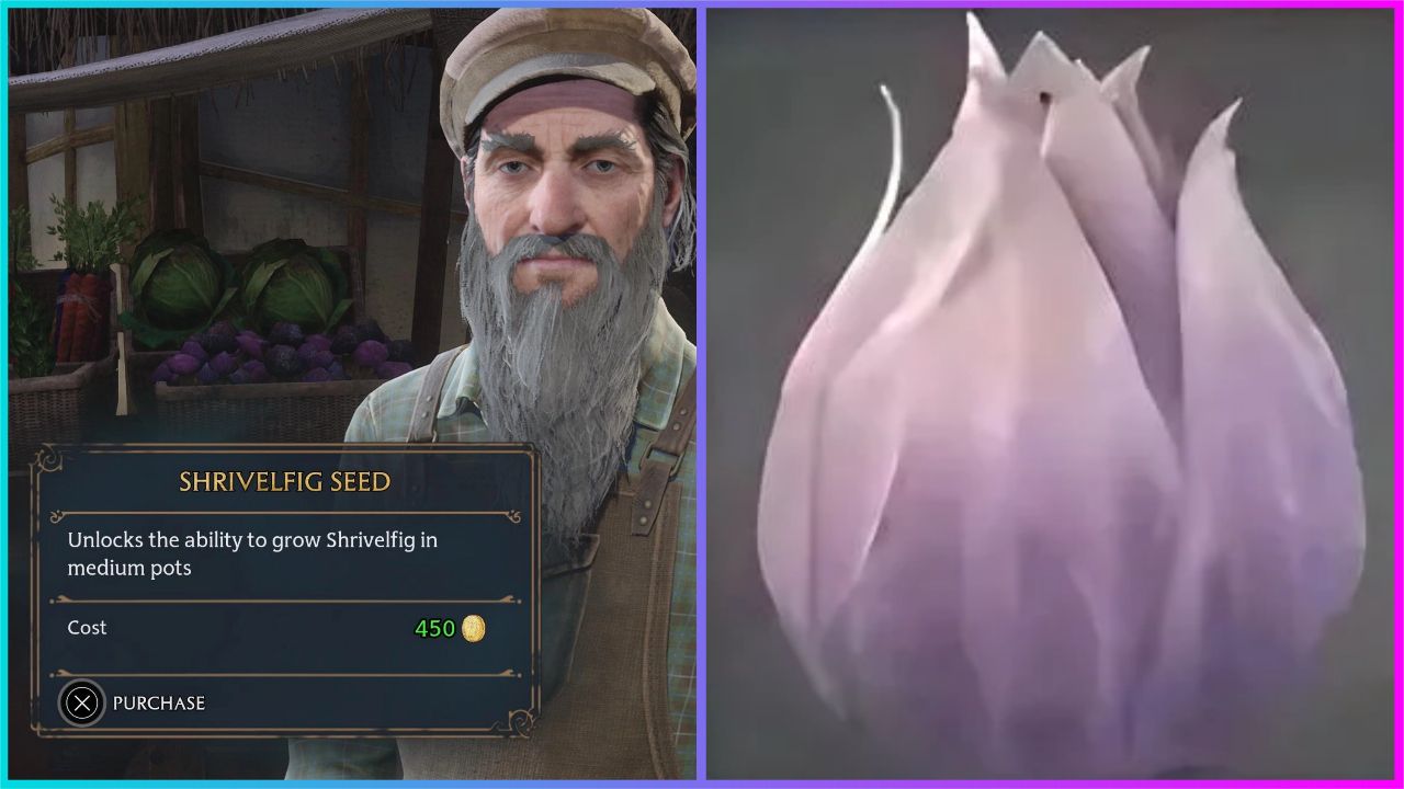 feature image for our hogwarts legacy shrivelfig fruit guide, the image features a picture of the shrivelfig fruit from the game, as well as the vendor timothy teasdale