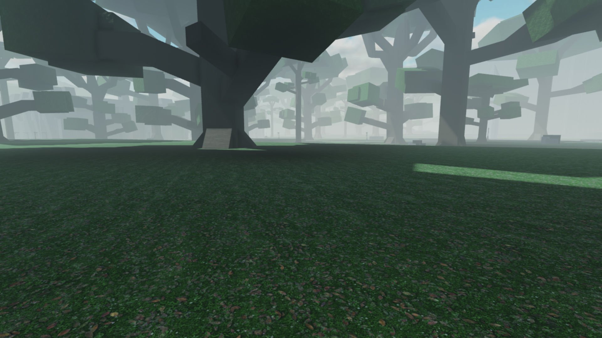 A forest scene in Arcane Lineage.