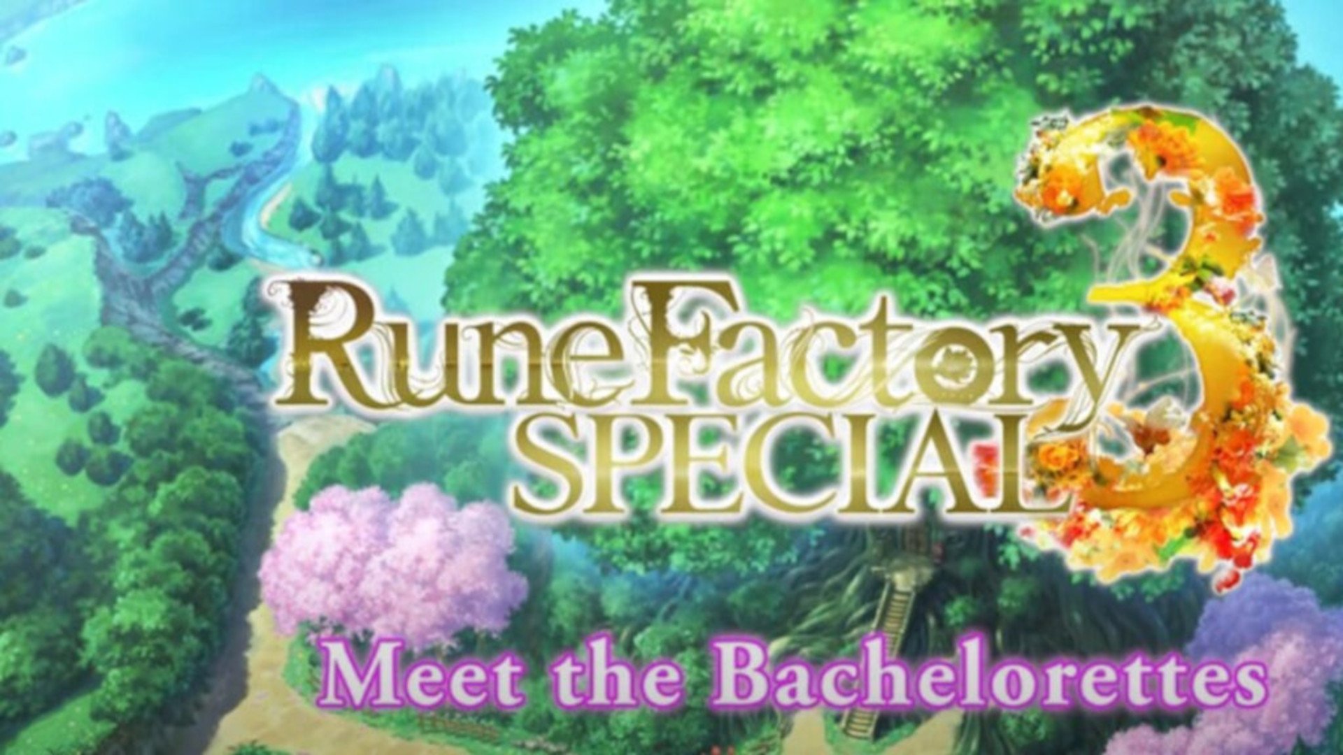 Rune Factory 3 Bachelorettes