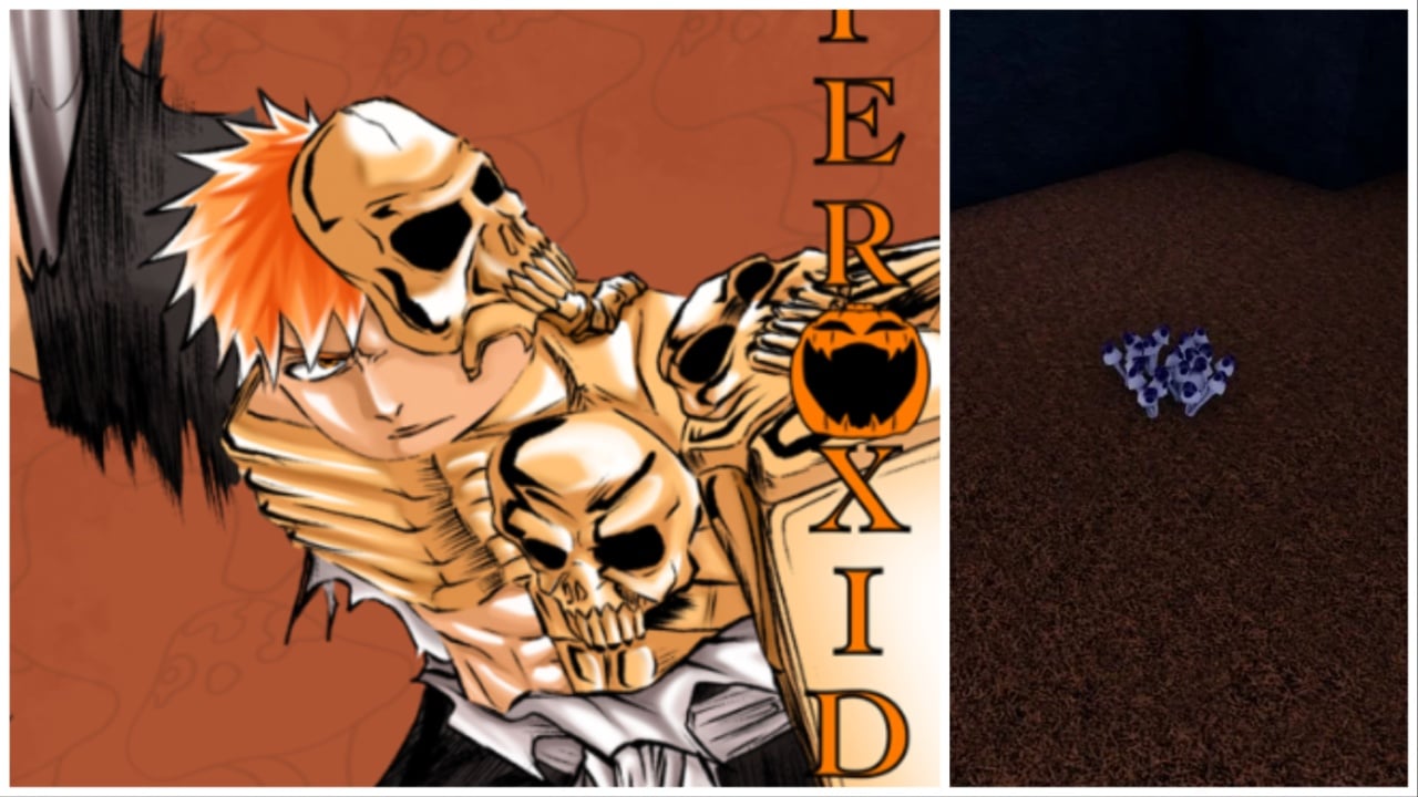The image shows one of the Bleach characters with a modest amount of body horror. Skulls protrude from his flesh. Lovely. On the right is an in-game screenshot of what the Wungus appears like