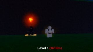 image of a roblox player standing in front of the broom guy NPC who is wearing a hooded cloak and has a glowing plus symbol above their head