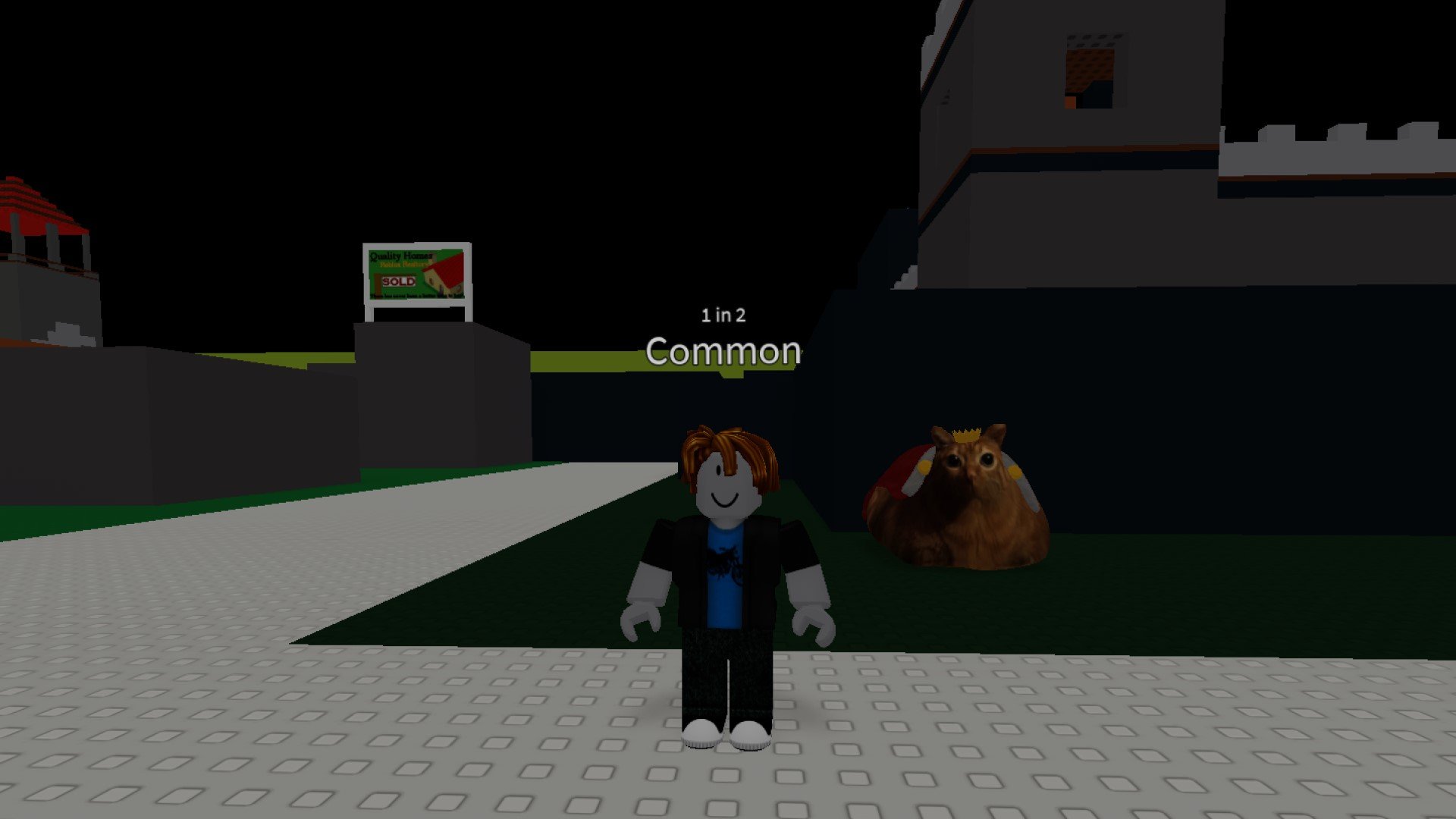 A character from Roblox game Hades RNG standing next to the Gwa Gwa Boss, a giant cat.