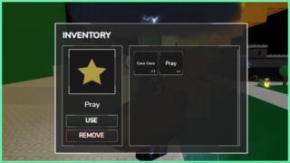 The image shows the Pray item within the users inventory which is a yellow star 