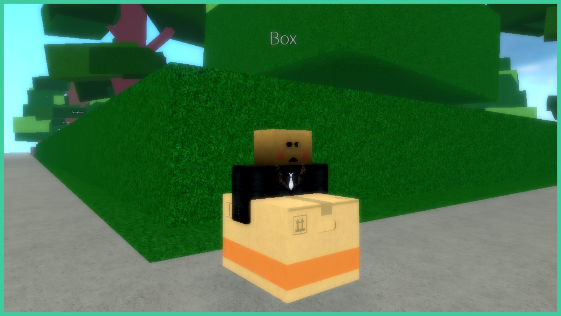 feature image for our project xl enchantments tier list, the image features a screenshot of an NPC that is sat inside a cardboard box whilst wearing a suit with a small cardboard box on there head which has holes in it for their mouth and eyes, they are sat in front of a hedge by some trees on the pavement