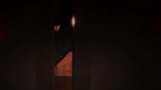 Screenshot from DOORS Paradox showing a view from inside a locker, with the figure of Deliria moving across the gap in the locker door.