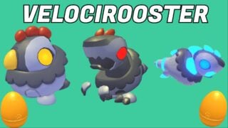 Image shows the three variants to the velocirooster with two golden admin abuse eggs lining the bottom corners.