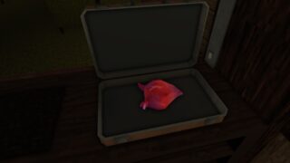 Screenshot from Hell Rails: The Scary Train. It shows a view into The Briefcase. It appears to have a human-like heart inside, which is still beating.