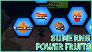 image shows the power fruits in the upgrade skill tree