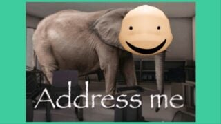 image depicts the address me meme with the intern face over the elephants face image depicts the address me meme with the intern face over the elephants face