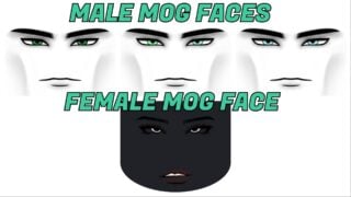 mog faces showing four options mog faces showing four options